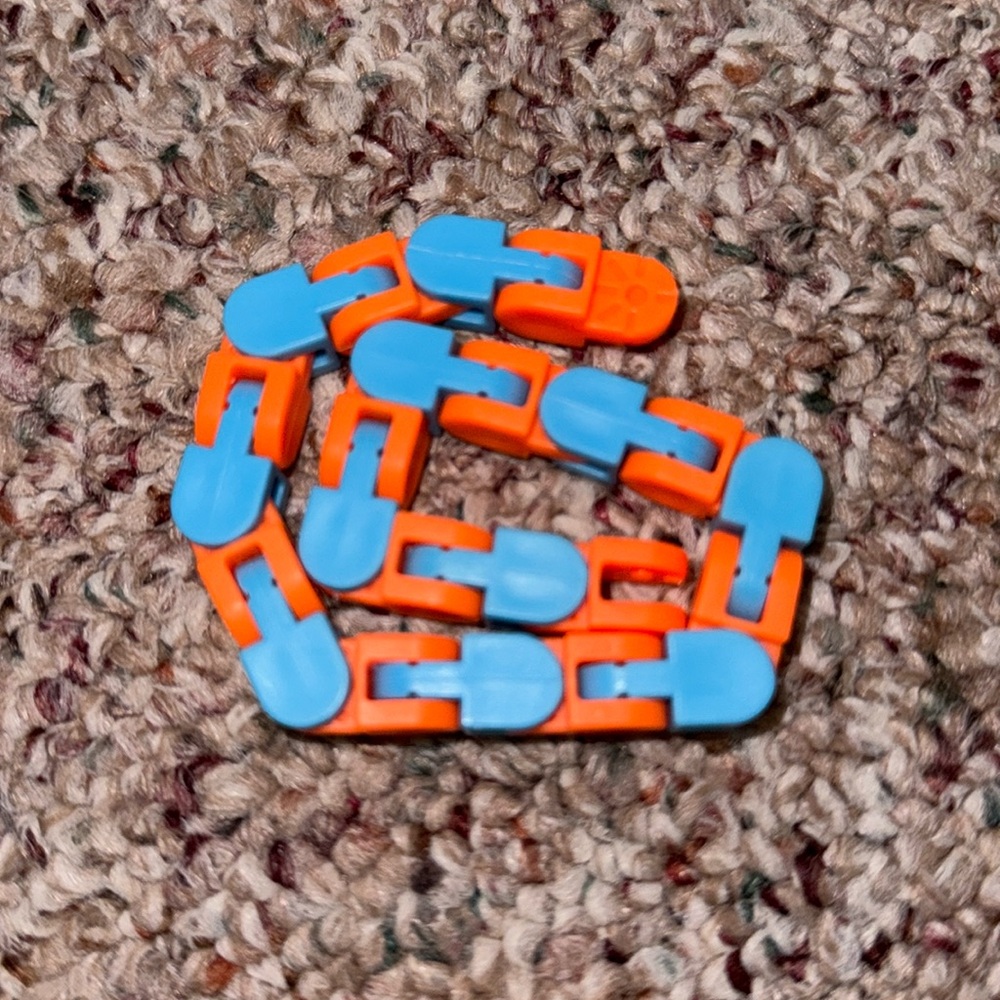 Wacky Track Fidget Toy!